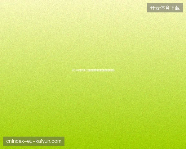 2026长沙SEO避坑指南：蜘蛛池每日用量与百度方法